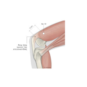 Spleen 10, Σπλήνα 10, Sp-10