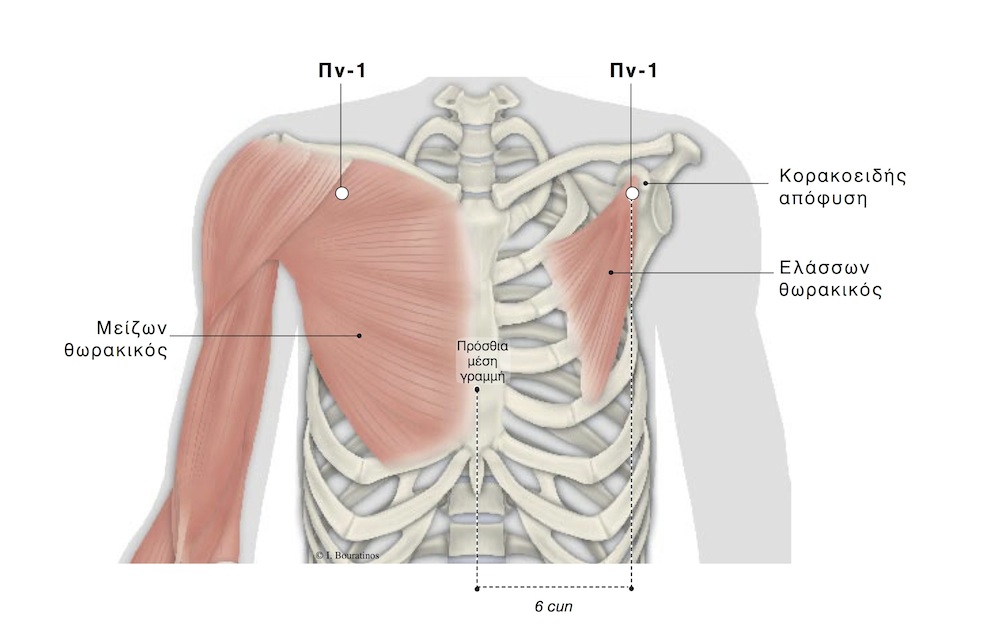 lung-1-ilaira-bouratinos