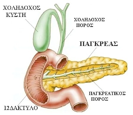 Χοληδόχος κύστη